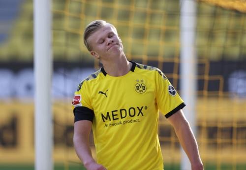 哈维以其精 哈维以其精