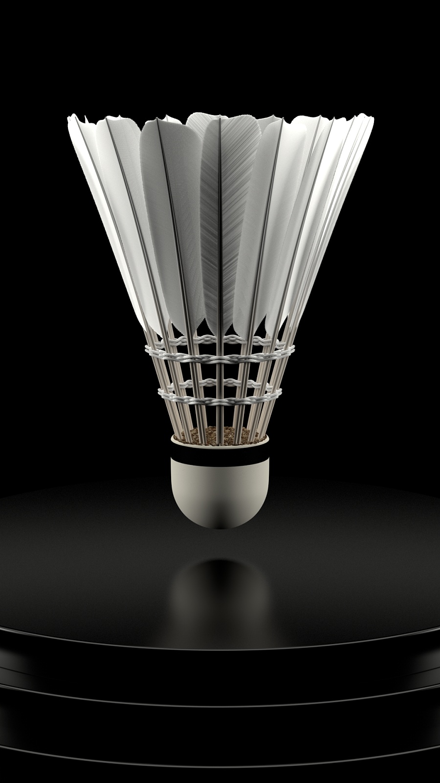 施洛特贝克 施洛特贝克